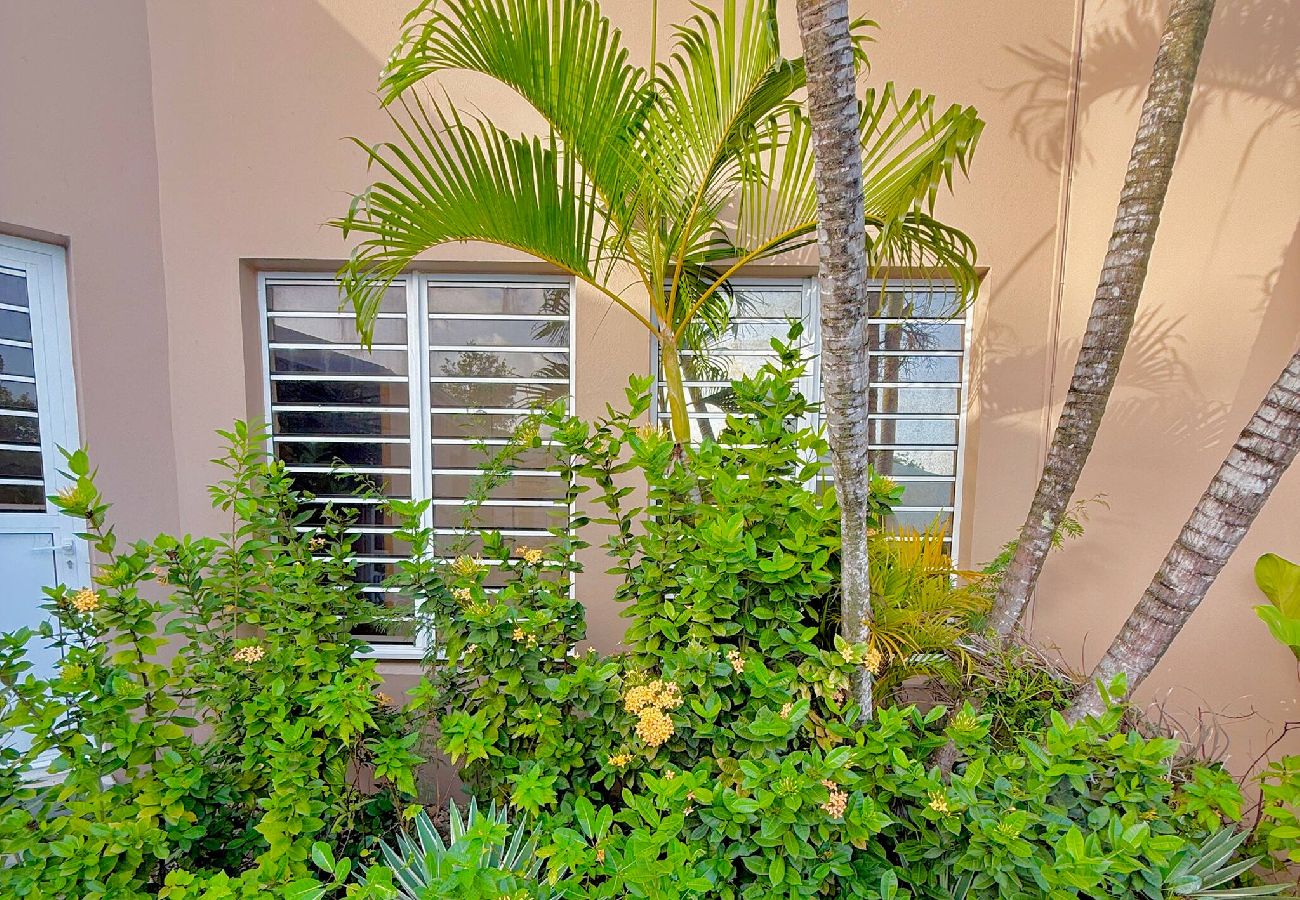 House in Sainte-Anne - Le Domaine des 3 Caps 