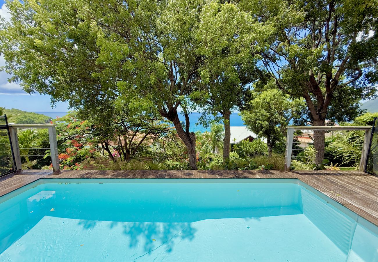 House in Le Diamant - Ville La Caillou - 4 chambres - Piscine 