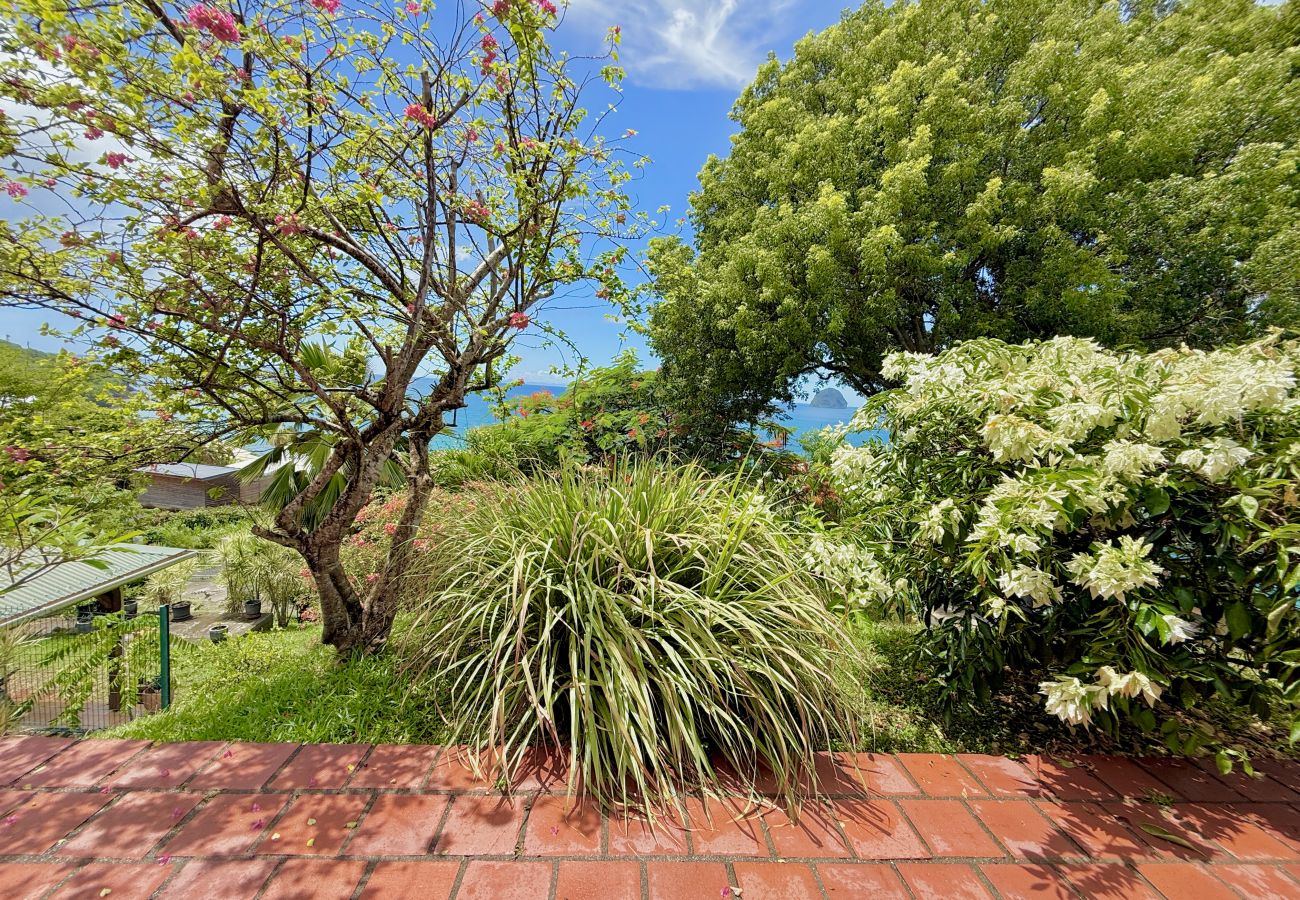 House in Le Diamant - Ville La Caillou - 4 chambres - Piscine 