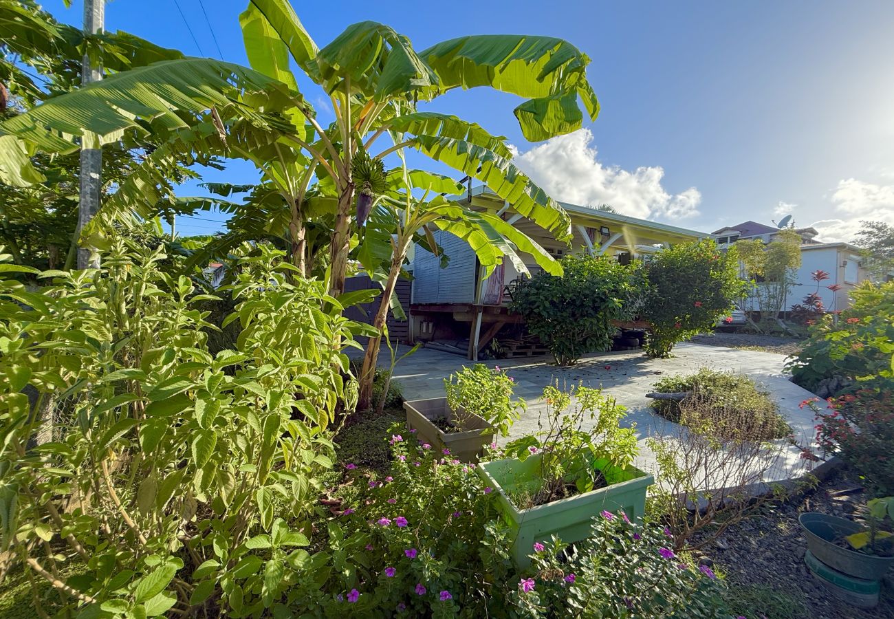 House in Capesterre-Belle-Eau - Kanel' Kaz