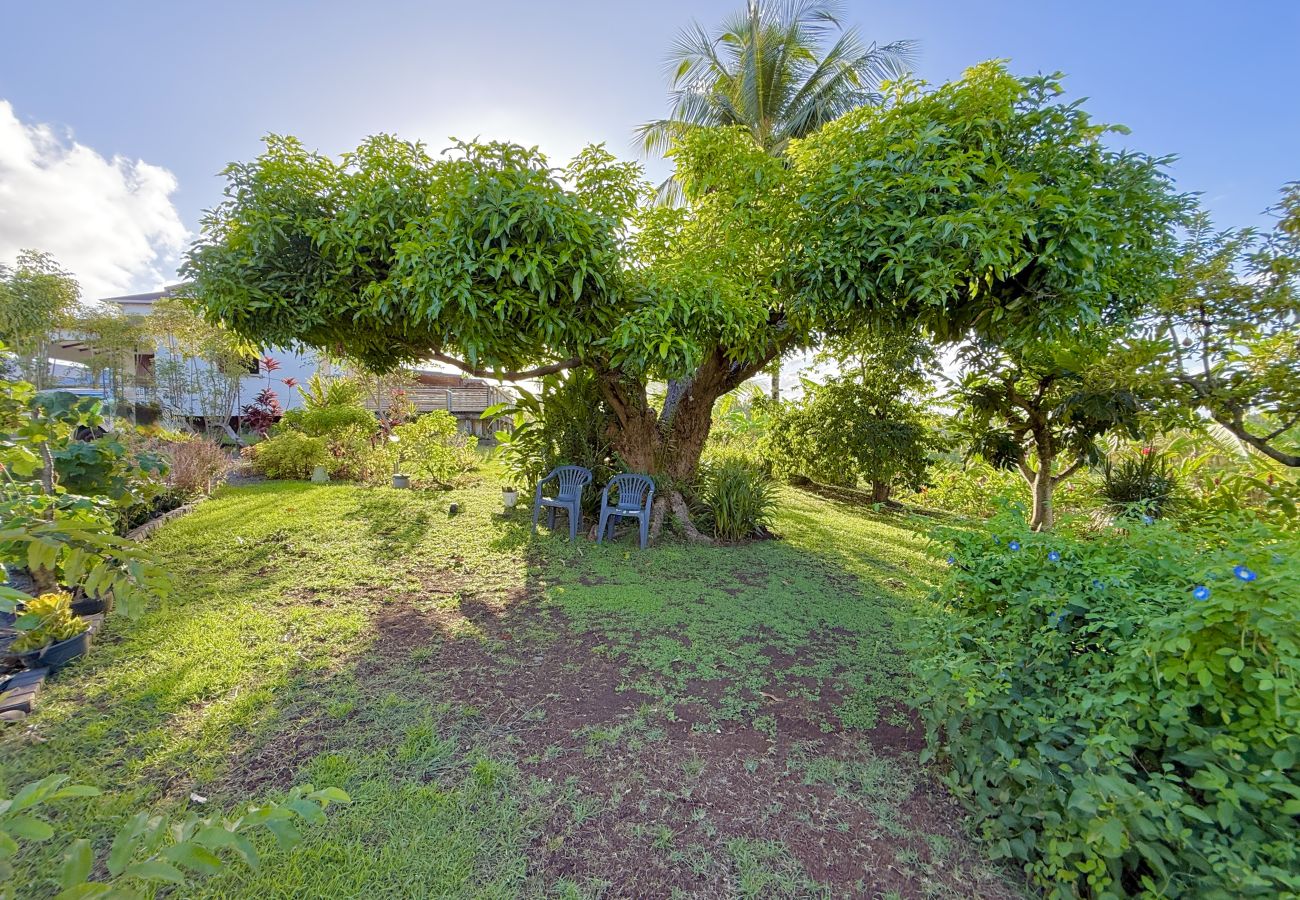 House in Capesterre-Belle-Eau - Kanel' Kaz