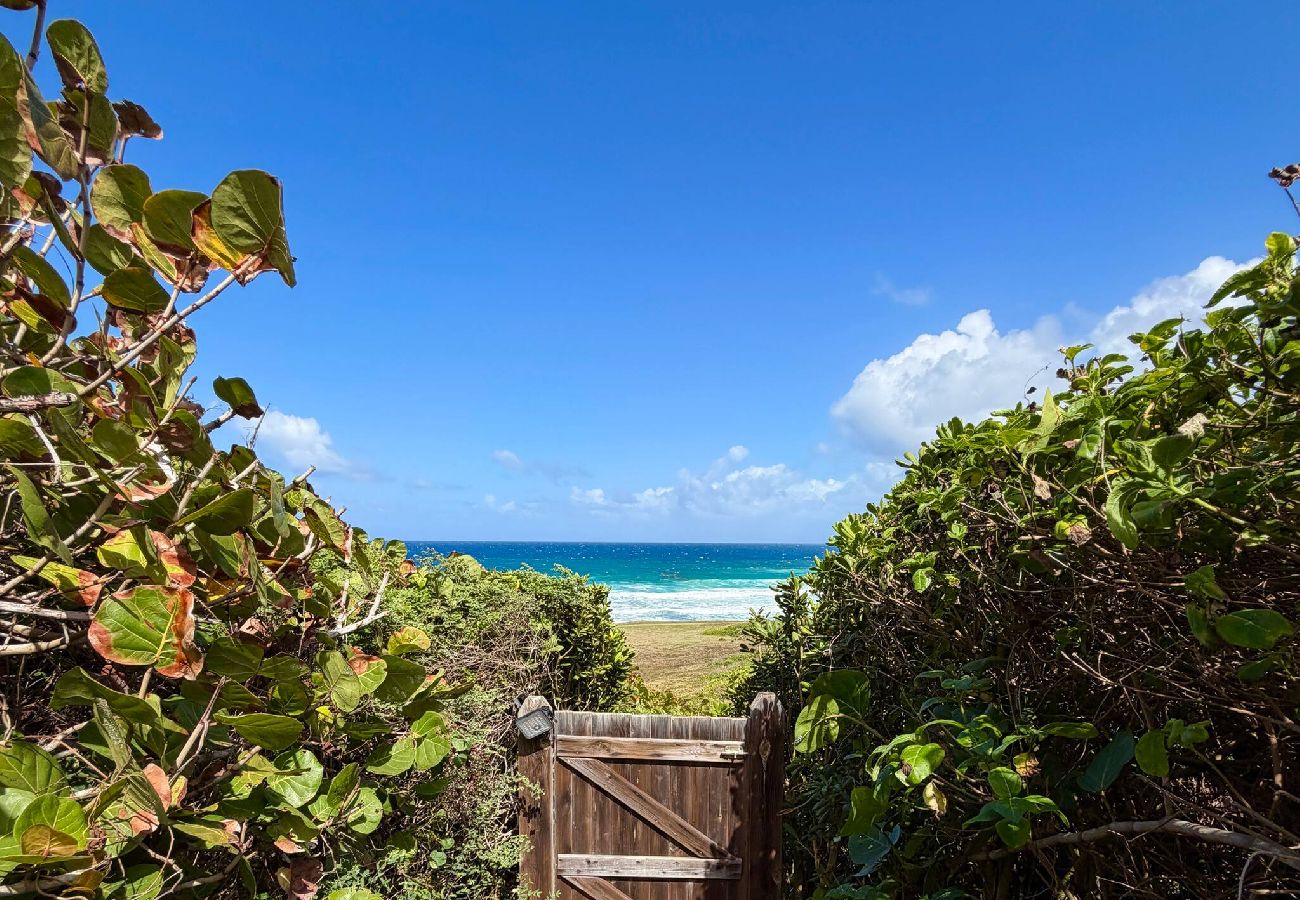 House in Le Moule - La Villa Bleu Émeraude 