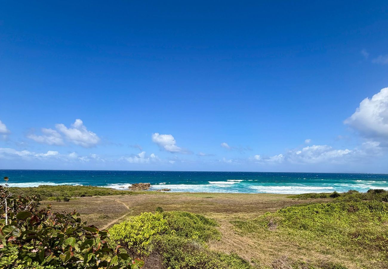 House in Le Moule - La Villa Bleu Émeraude 