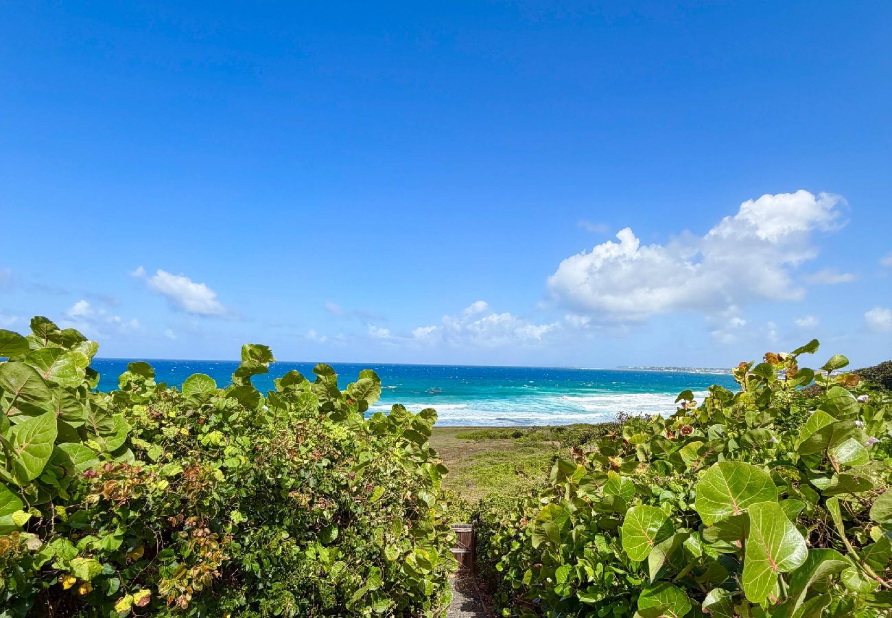 House in Le Moule - La Villa Bleu Émeraude 