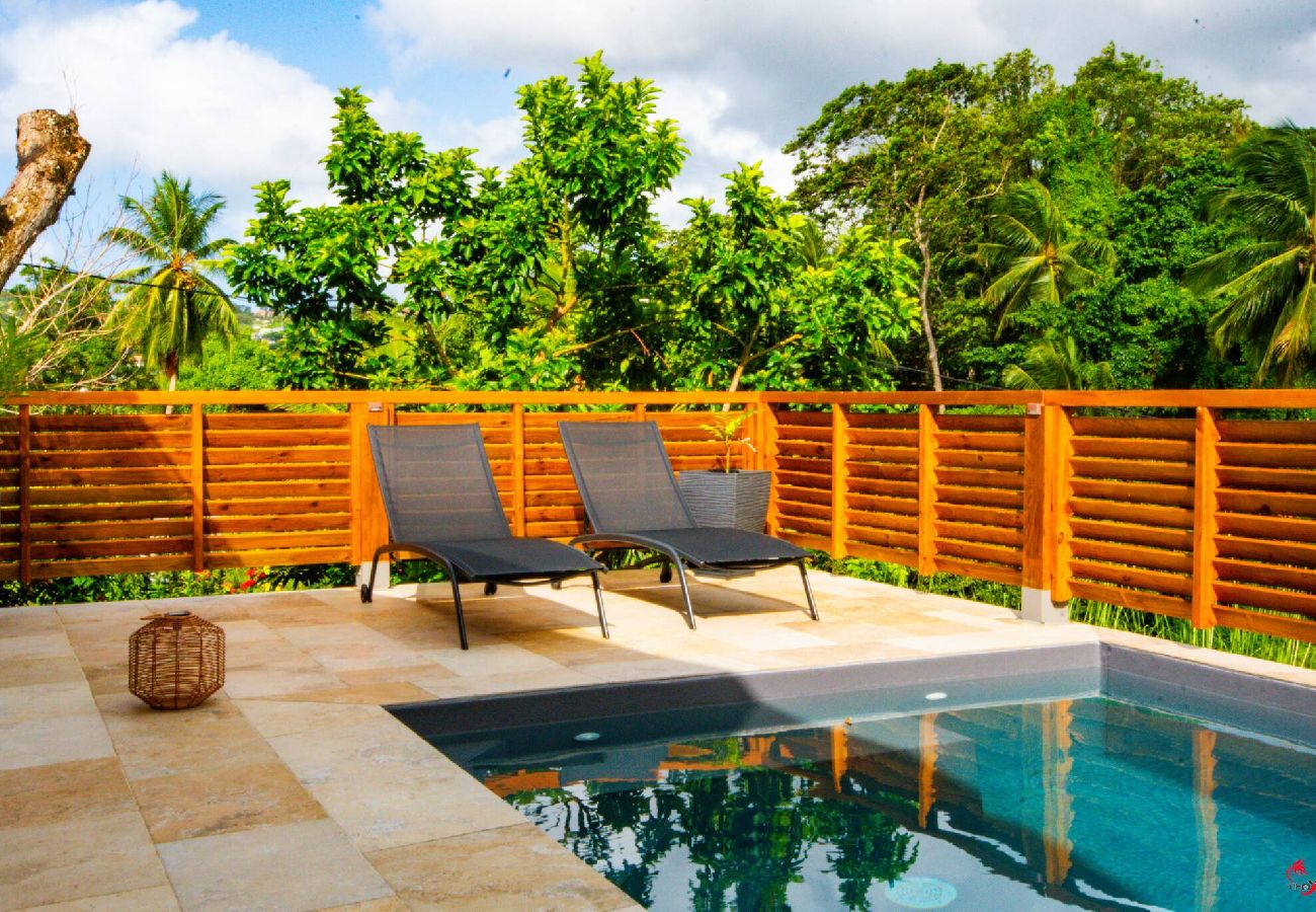 House in Saint-Joseph - Villa Evasion Tropicale - Piscine privée 