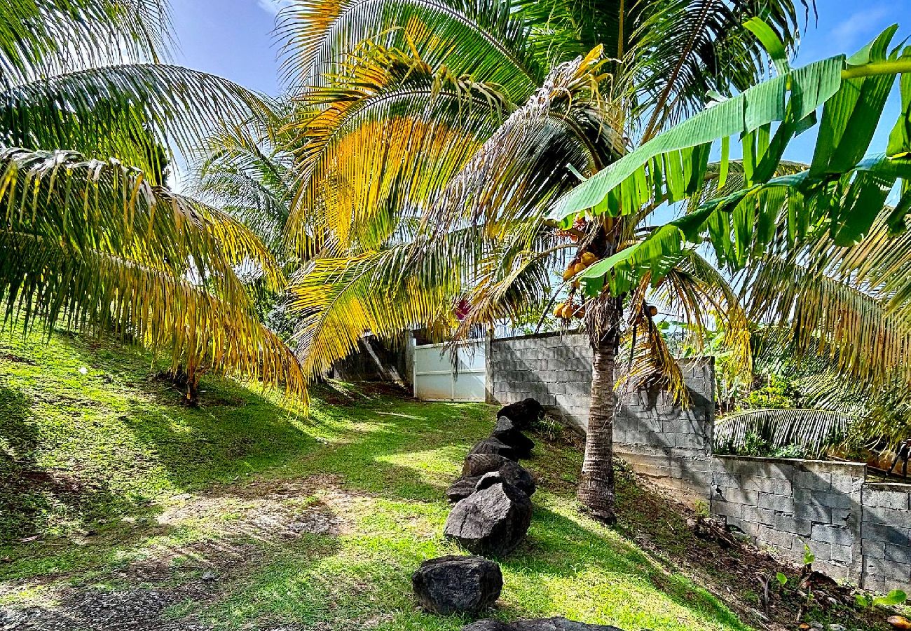 Appartement à Le Robert - L'Appar't BeeFlat 