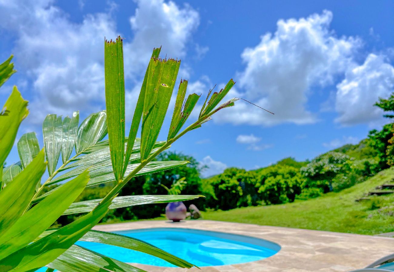 Villa à Sainte-Anne - Villa Les Acacias 