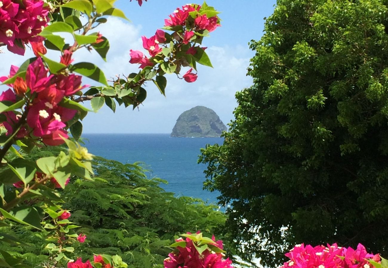 Maison à Le Diamant - Ville La Caillou - 4 chambres - Piscine 