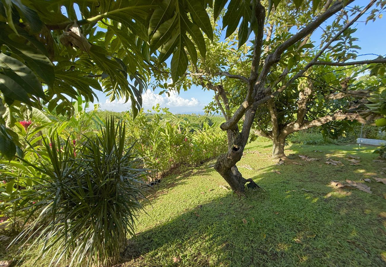 Maison à Capesterre-Belle-Eau - Kanel' Kaz