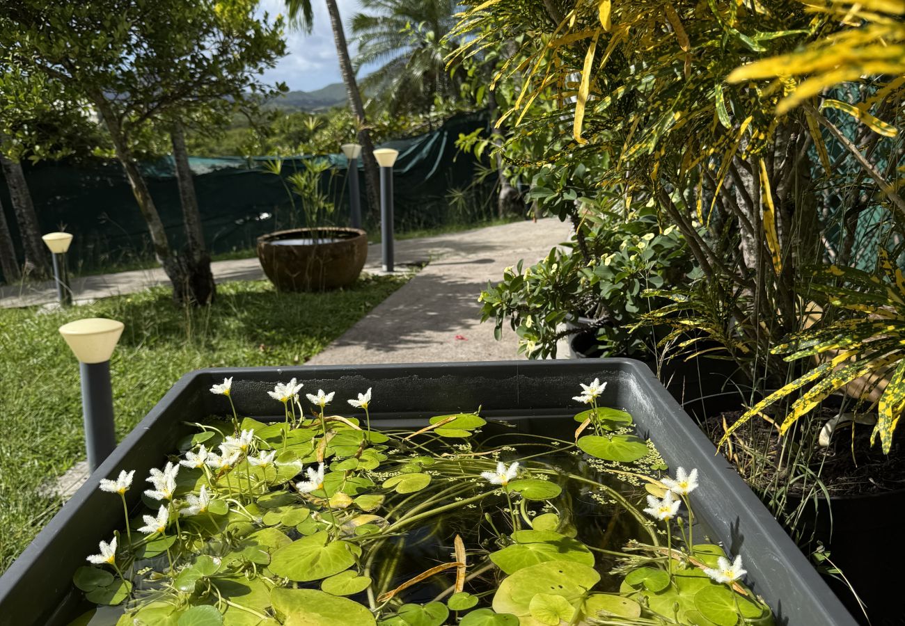 Villa à Le Diamant - Villa NADIA