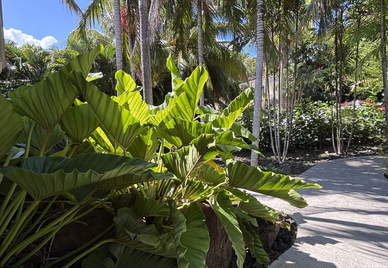 Villa à Le François - Villa La Ressource